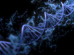 DNA Helix 3D Model