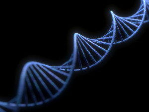 DNA Helix Model 3D