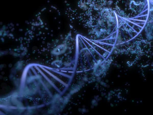 DNA Helix 3D Model