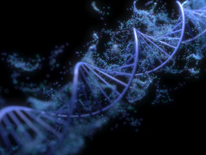 DNA Helix Model 3D