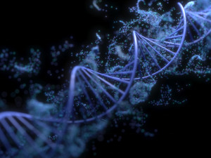 DNA Helix Model 3D