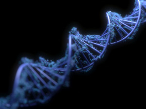 DNA Helix Model 3D
