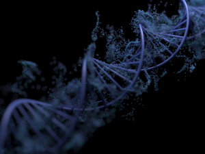 DNA Helix Model 3D