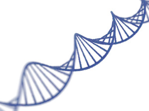 DNA Helix Model 3D