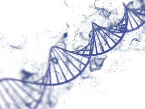 DNA Helix Model 3D