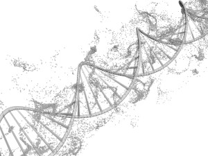 DNA Helix Model 3D