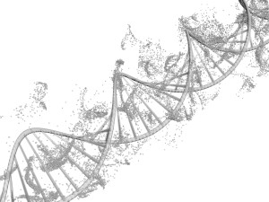 DNA Helix Model 3D