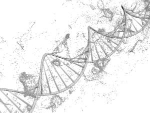 DNA Helix Model 3D