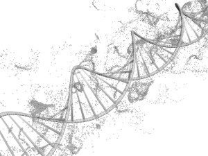 DNA Helix Model 3D