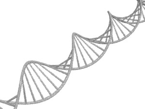 DNA Helix Model 3D