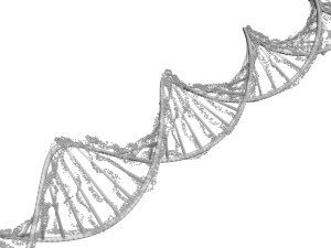 DNA Helix Model 3D