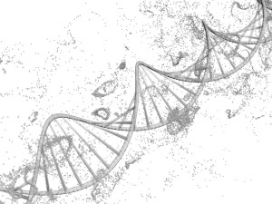 DNA Helix Model 3D