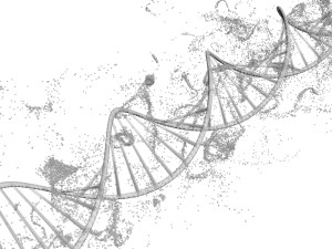 DNA Helix Model 3D