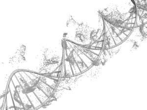 DNA Helix Model 3D