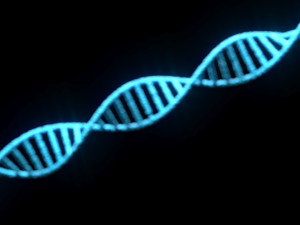 DNA Helix Modelo 3D
