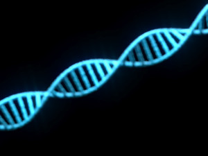 DNA Helix 3D Модель