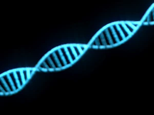 Heliks DNA Model 3D