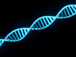 DNA Helix 3D Модель