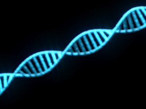 DNA Helix 3D Модель