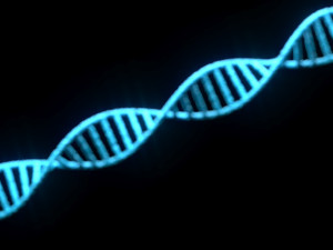 DNA Helix 3D Модель
