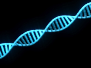 DNA Helix 3D Модель
