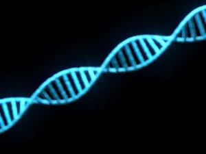 Heliks DNA Model 3D