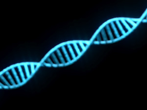DNA Helix 3D Модель
