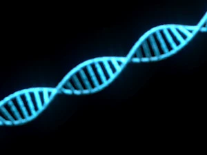 Heliks DNA Model 3D