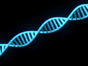 DNA Helix 3D Модель
