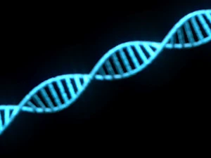 Heliks DNA Model 3D