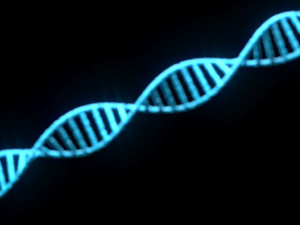 DNA Helix 3D Модель