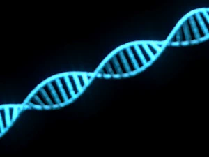 Heliks DNA Model 3D