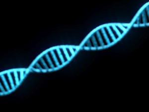 DNA Helix 3D Модель
