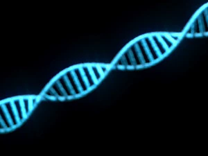 Heliks DNA Model 3D