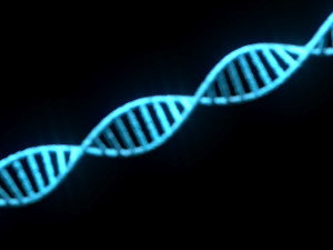DNA Helix 3D Модель