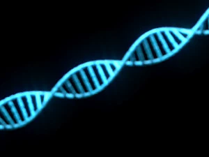 Heliks DNA Model 3D