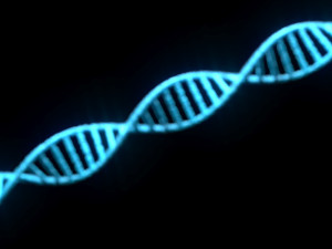 DNA Helix 3D Модель