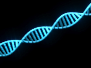 DNA Helix 3D Модель