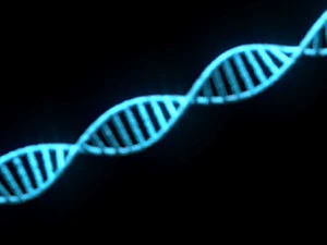 Heliks DNA Model 3D