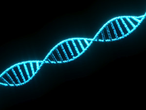 DNA Helix 3D Модель