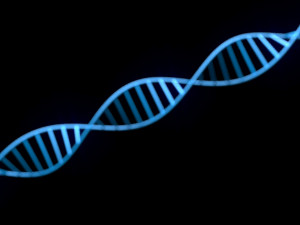 DNA Helix 3D Модель