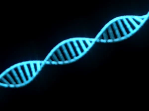 Heliks DNA Model 3D