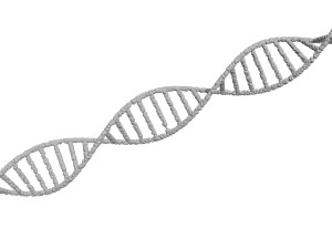 DNA Helix 3D Модель