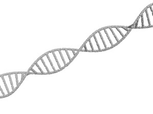 DNA Helix 3D Модель