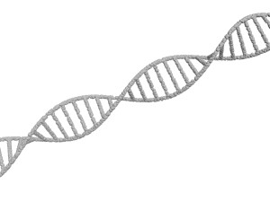 DNA Helix 3D Модель