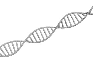 DNA Helix 3D Модель