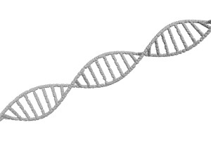 DNA Helix 3D Модель