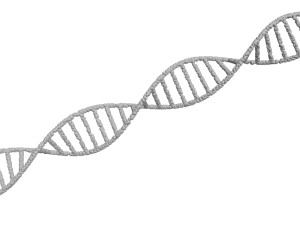 DNA Helix 3D Модель