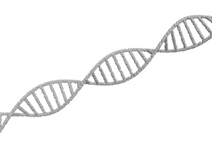 DNA Helix 3D Модель