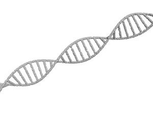 DNA Helix 3D Модель